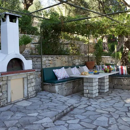 Bougainvillea جايوس