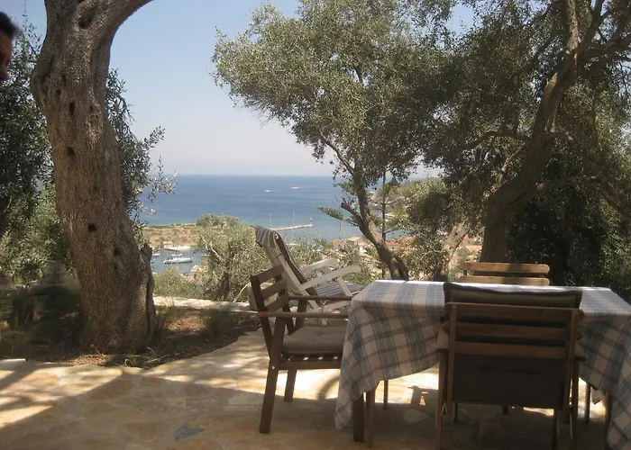 Bougainvillea * Gaios