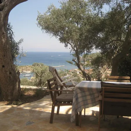 Bougainvillea * Gaios
